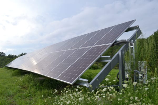 Knox County Solar Farm Approved: Cause for Celebration or Alarm?